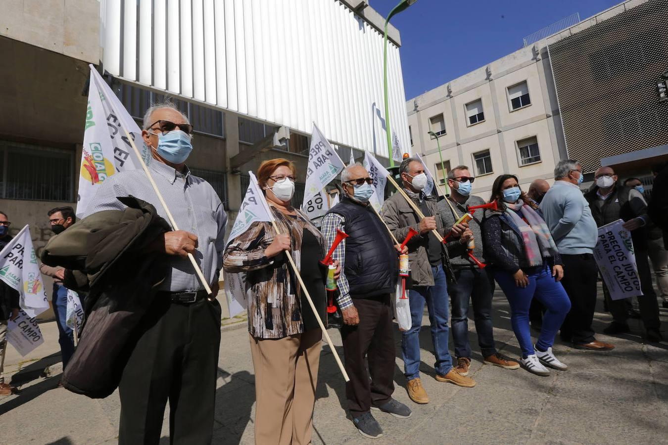 La protesta de los agricultores contra el Gobierno en Córdoba, en imágenes