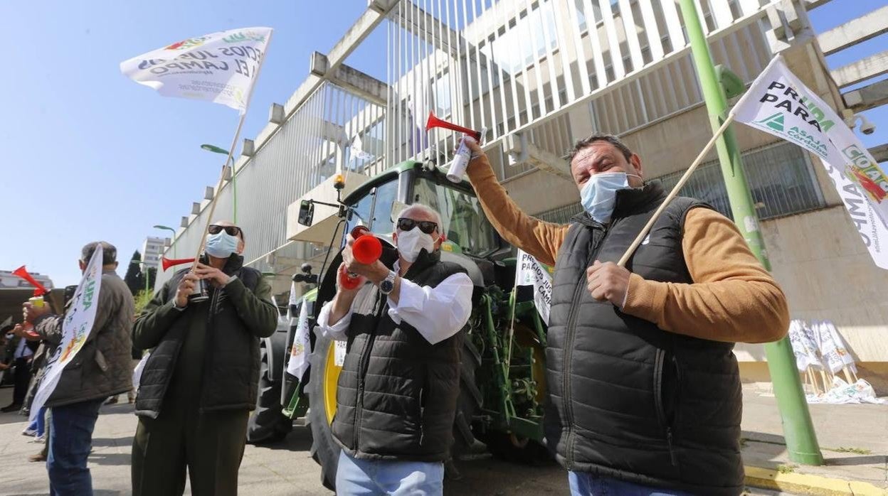 La protesta de los agricultores contra el Gobierno en Córdoba, en imágenes