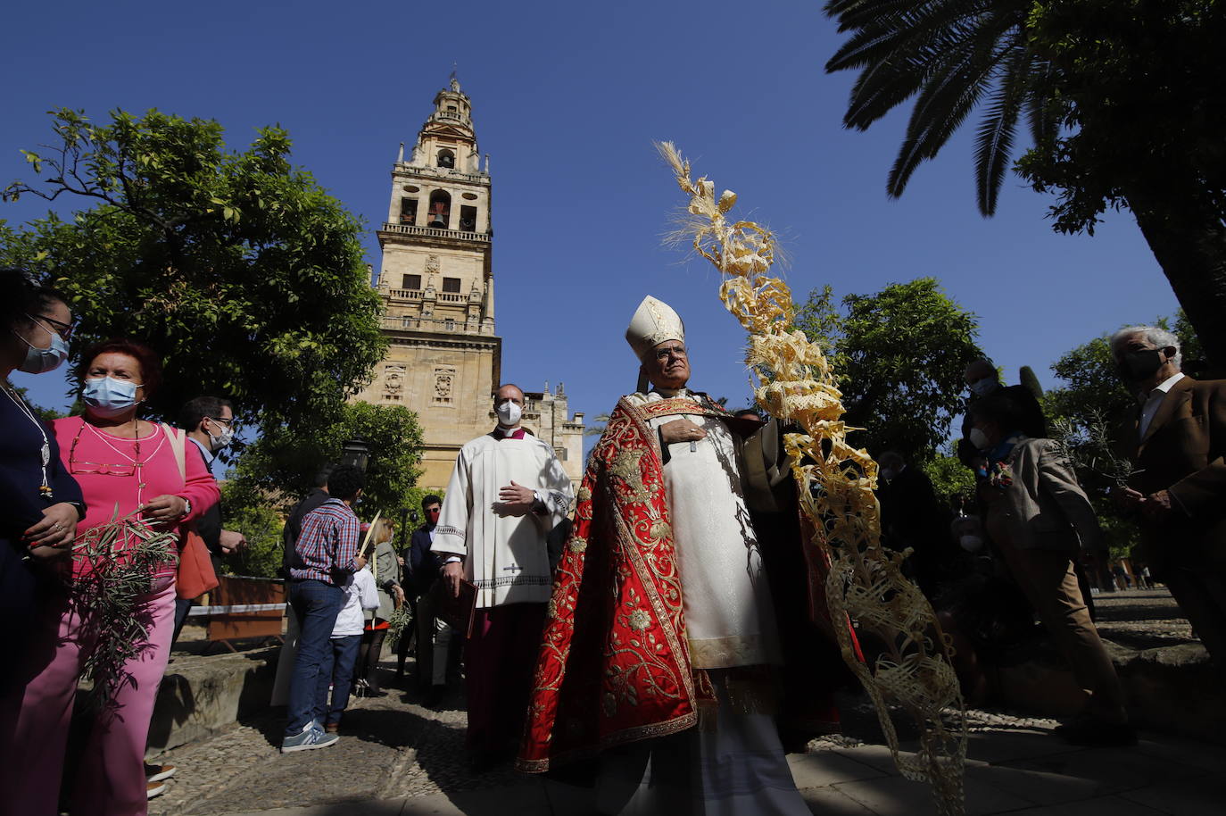 La Misa de Palmas en la Santa Iglesia Catedral de Córdoba, en imágenes