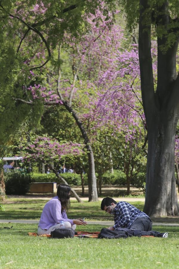 Los sevillanos aprovecharon para disfrutar de una Semana Santa 'alternativa'