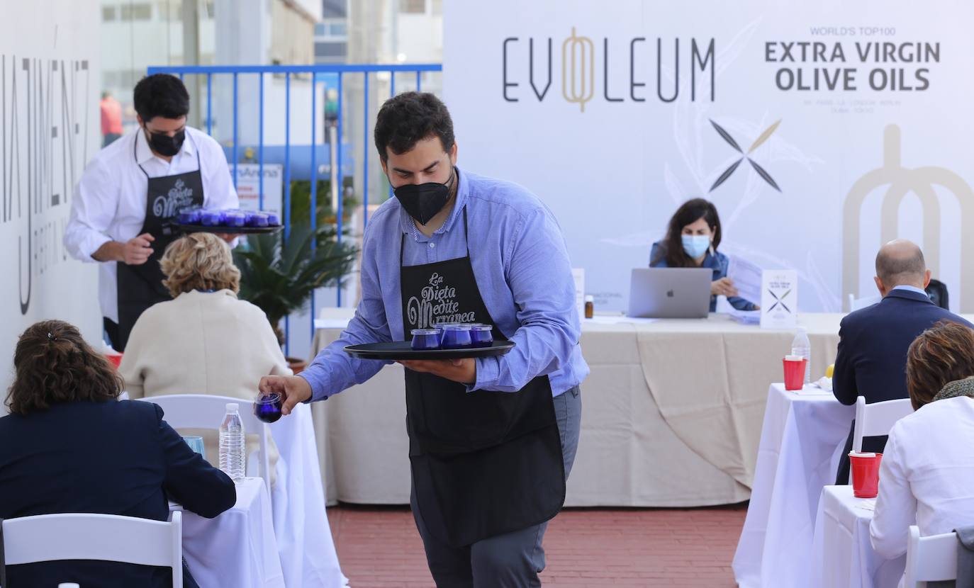 La cata final del concurso de la Guía Evooleum Top 100, en imágenes