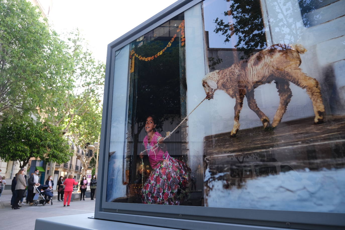 La exposición de Cristina García Rodero, en el bulevar Gran Capitán de Córdoba