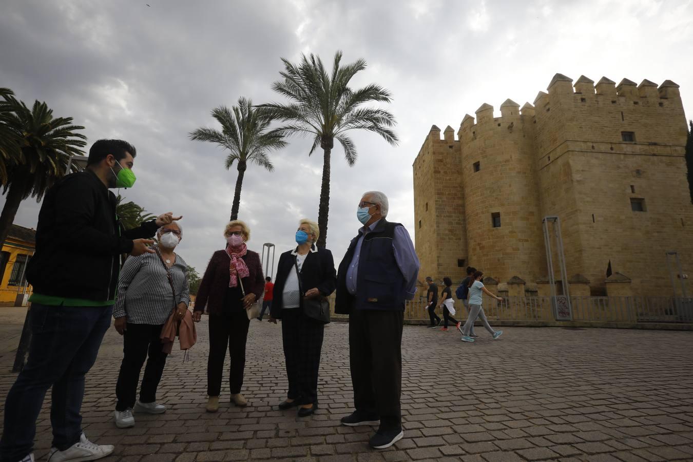 El programa &#039;Córdoba en Púrpura&#039;, en imágenes