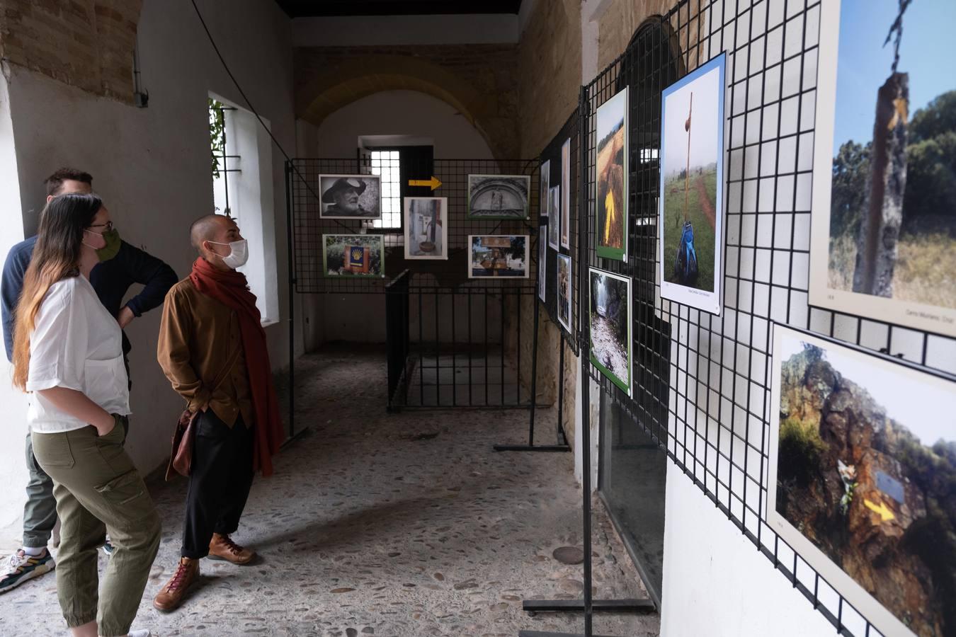 El programa &#039;Córdoba en Púrpura&#039;, en imágenes