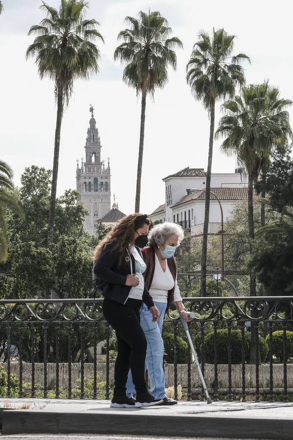 Ambiente primaveral por las calles de Sevilla