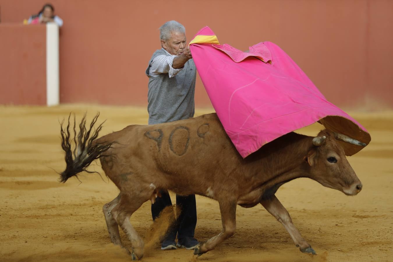 Antonio Ruiz 'Espartaco' celebró su ochenta cumpleaños toreando con los 'suyos'