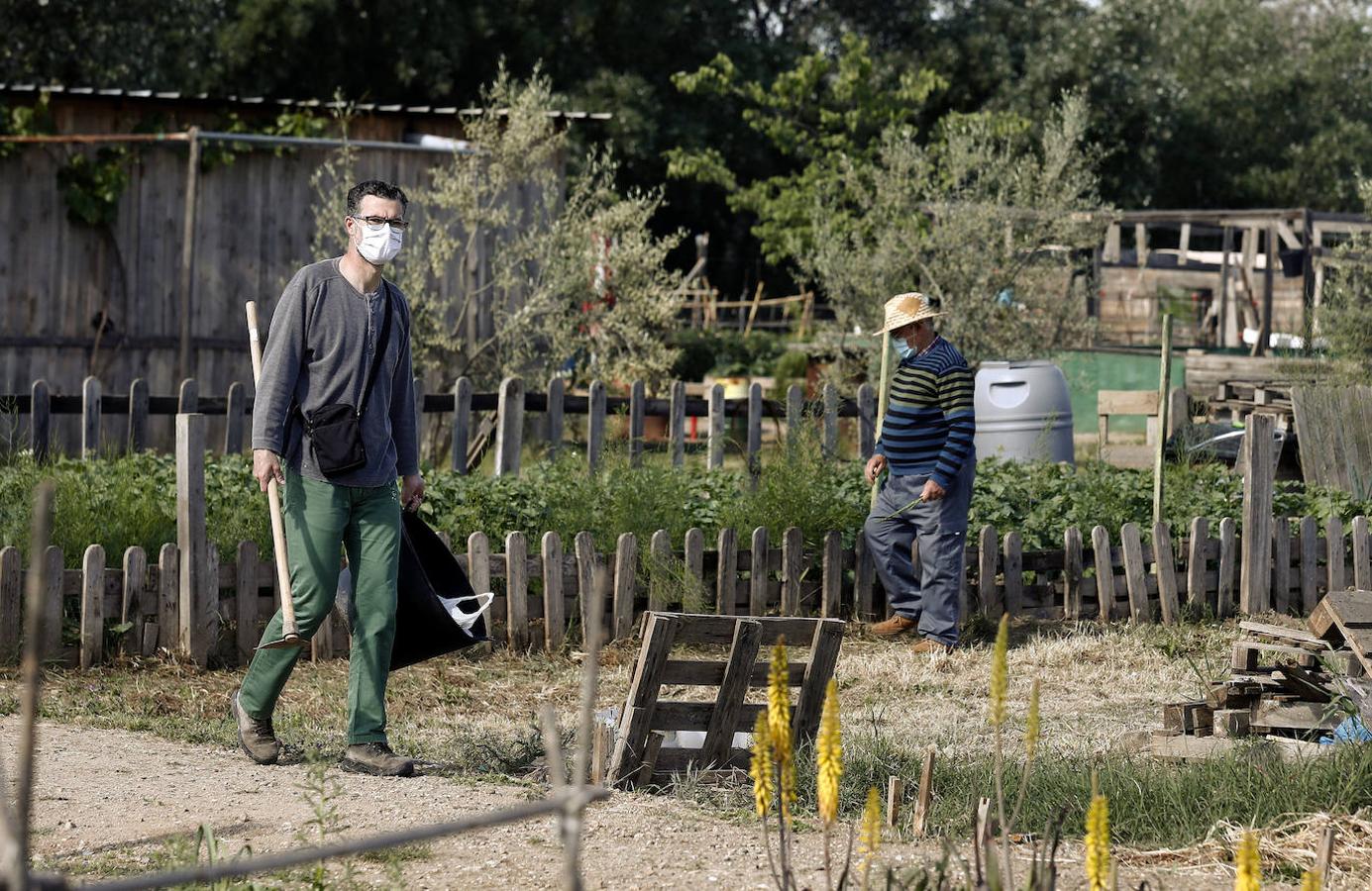 Los huertos urbanos de Córdoba, en imágenes