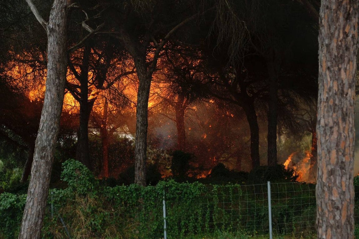 Las imágenes de la protesta de los trabajadores de Airbus en el puente y el fuego provocado en el Pinar