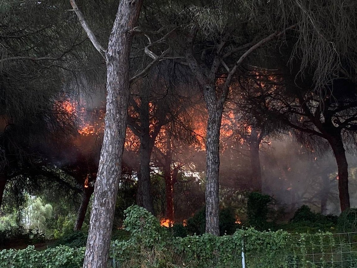 Las imágenes de la protesta de los trabajadores de Airbus en el puente y el fuego provocado en el Pinar