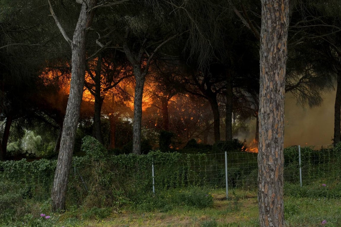 Las imágenes de la protesta de los trabajadores de Airbus en el puente y el fuego provocado en el Pinar