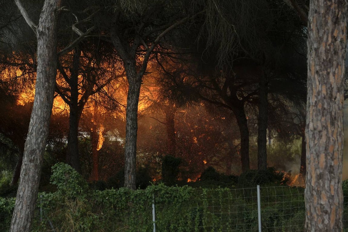 Las imágenes de la protesta de los trabajadores de Airbus en el puente y el fuego provocado en el Pinar