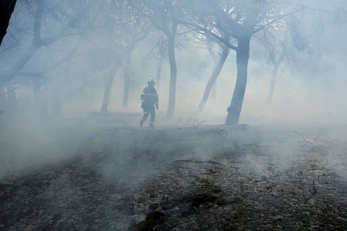 Las imágenes de la protesta de los trabajadores de Airbus en el puente y el fuego provocado en el Pinar
