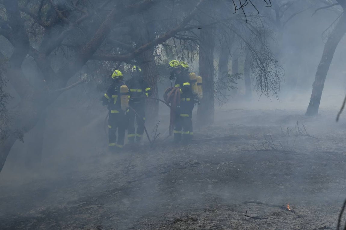 Las imágenes de la protesta de los trabajadores de Airbus en el puente y el fuego provocado en el Pinar