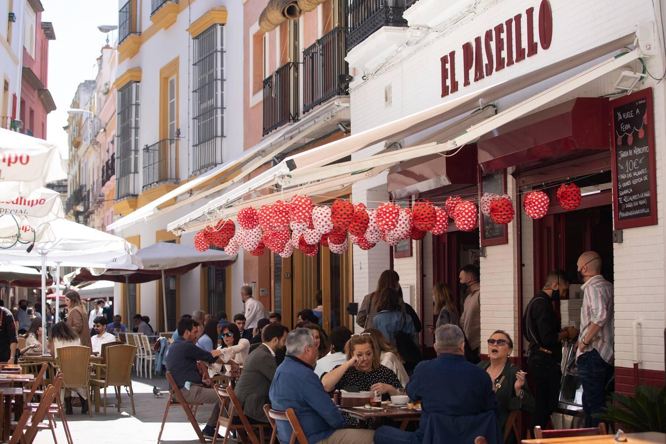 Fotogalería: Ambiente del &#039;sábado de pescaito&#039; de &#039;Feria&#039; en el Centro