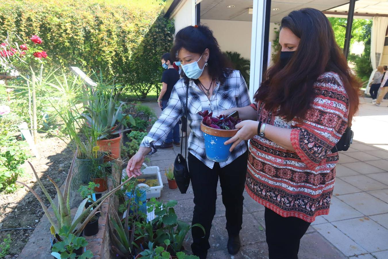 El Mercado del Trueque de plantas del Botánico de Córdoba, en imágenes