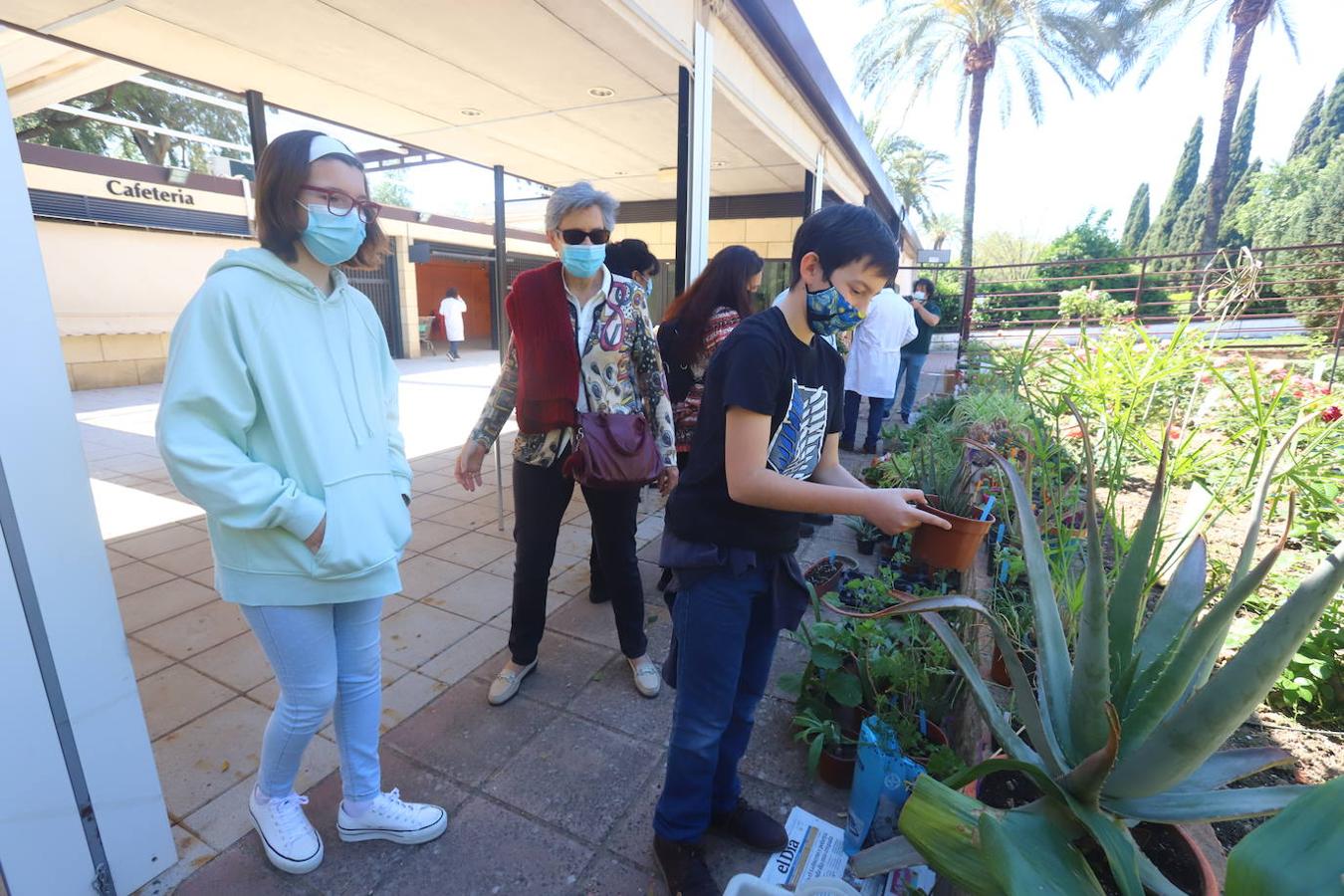 El Mercado del Trueque de plantas del Botánico de Córdoba, en imágenes