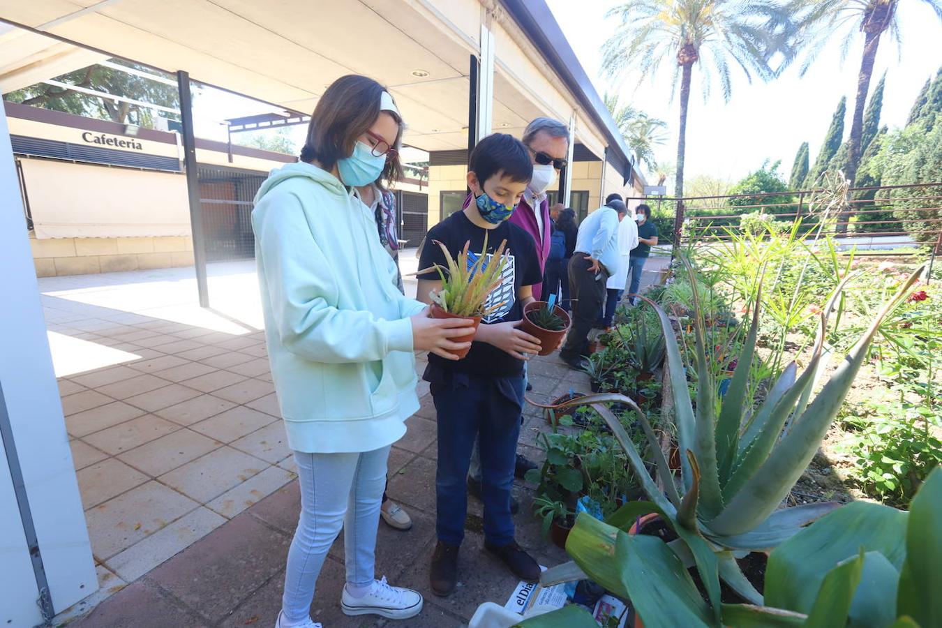 El Mercado del Trueque de plantas del Botánico de Córdoba, en imágenes