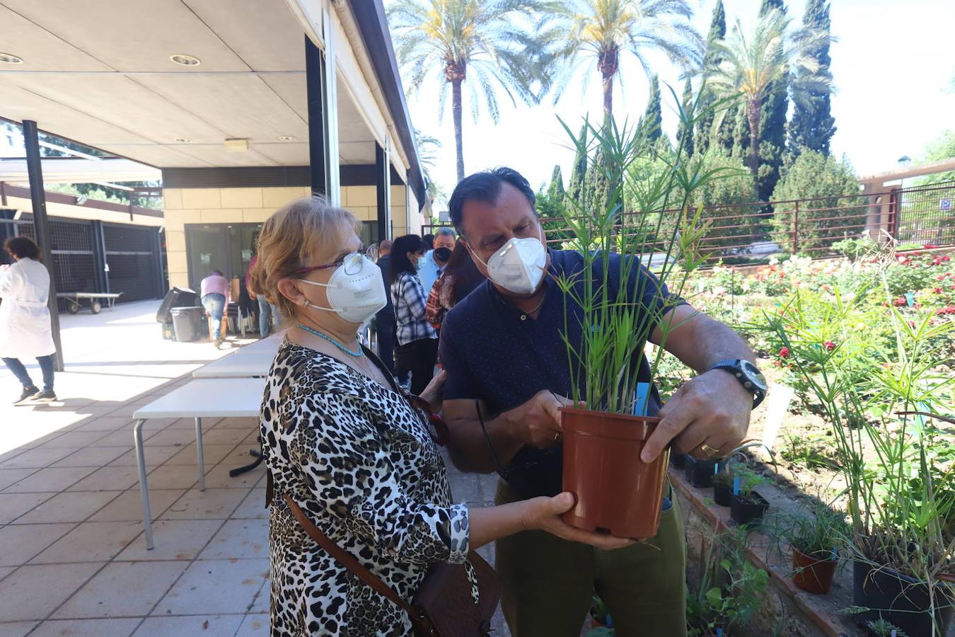 El Mercado del Trueque de plantas del Botánico de Córdoba, en imágenes