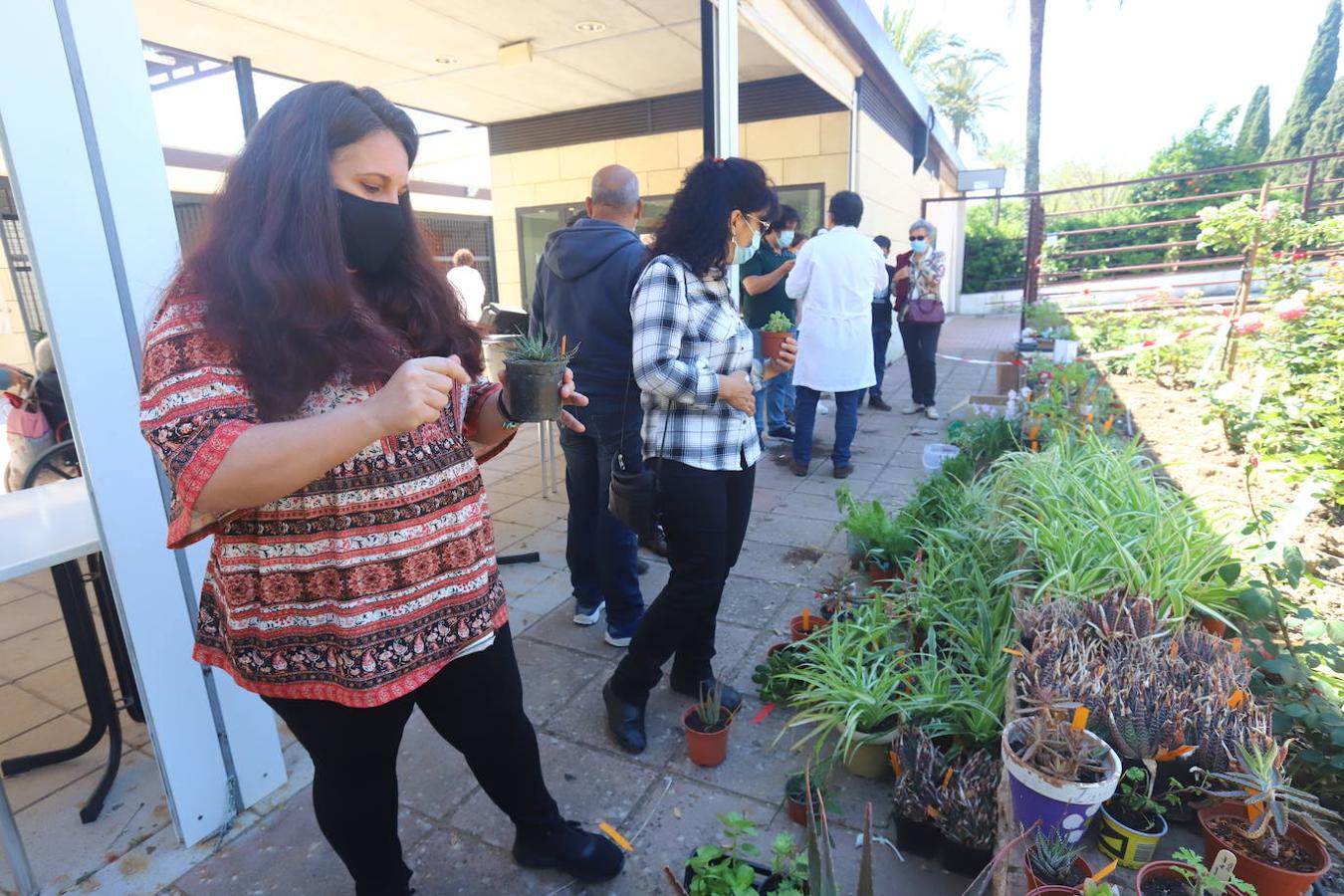 El Mercado del Trueque de plantas del Botánico de Córdoba, en imágenes