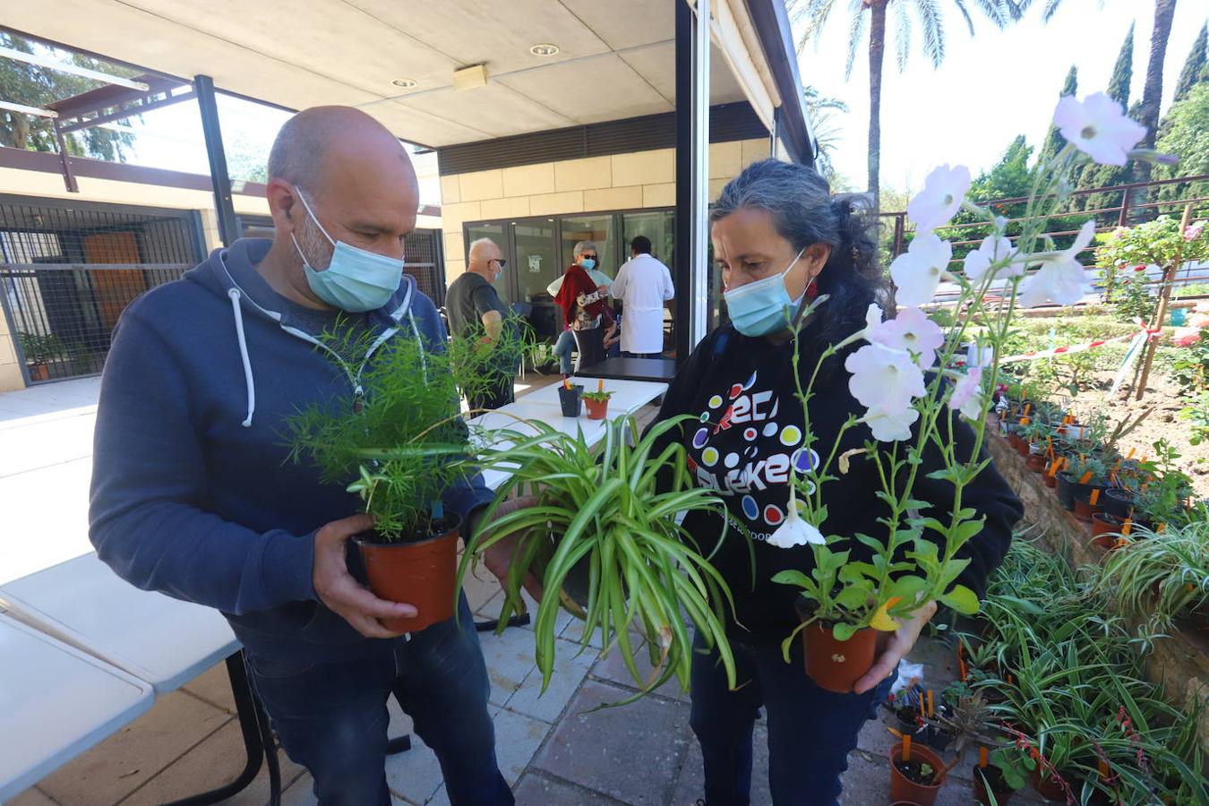 El Mercado del Trueque de plantas del Botánico de Córdoba, en imágenes