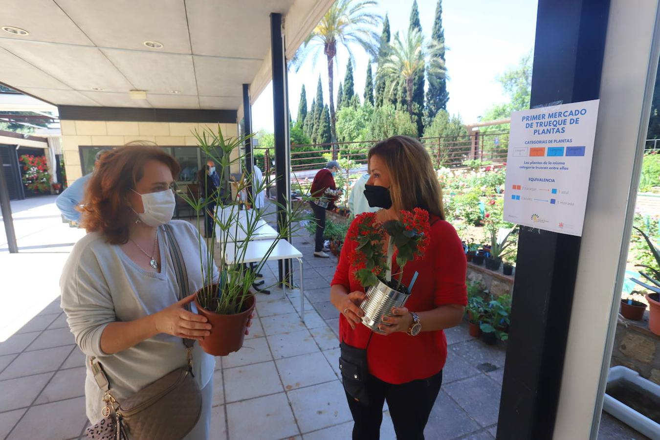 El Mercado del Trueque de plantas del Botánico de Córdoba, en imágenes