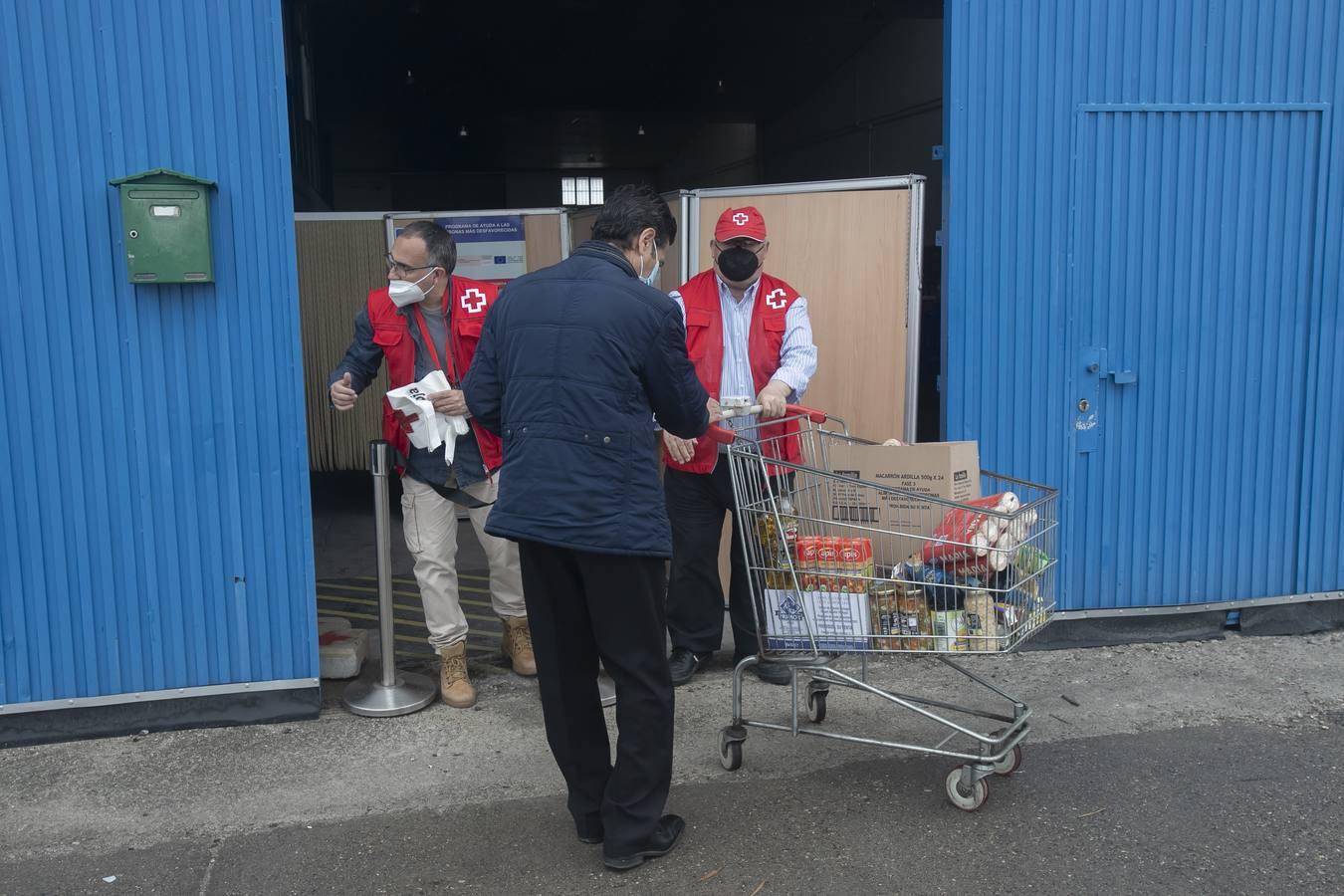 El reparto de alimentos de Cruz Roja de Córdoba, en imágenes