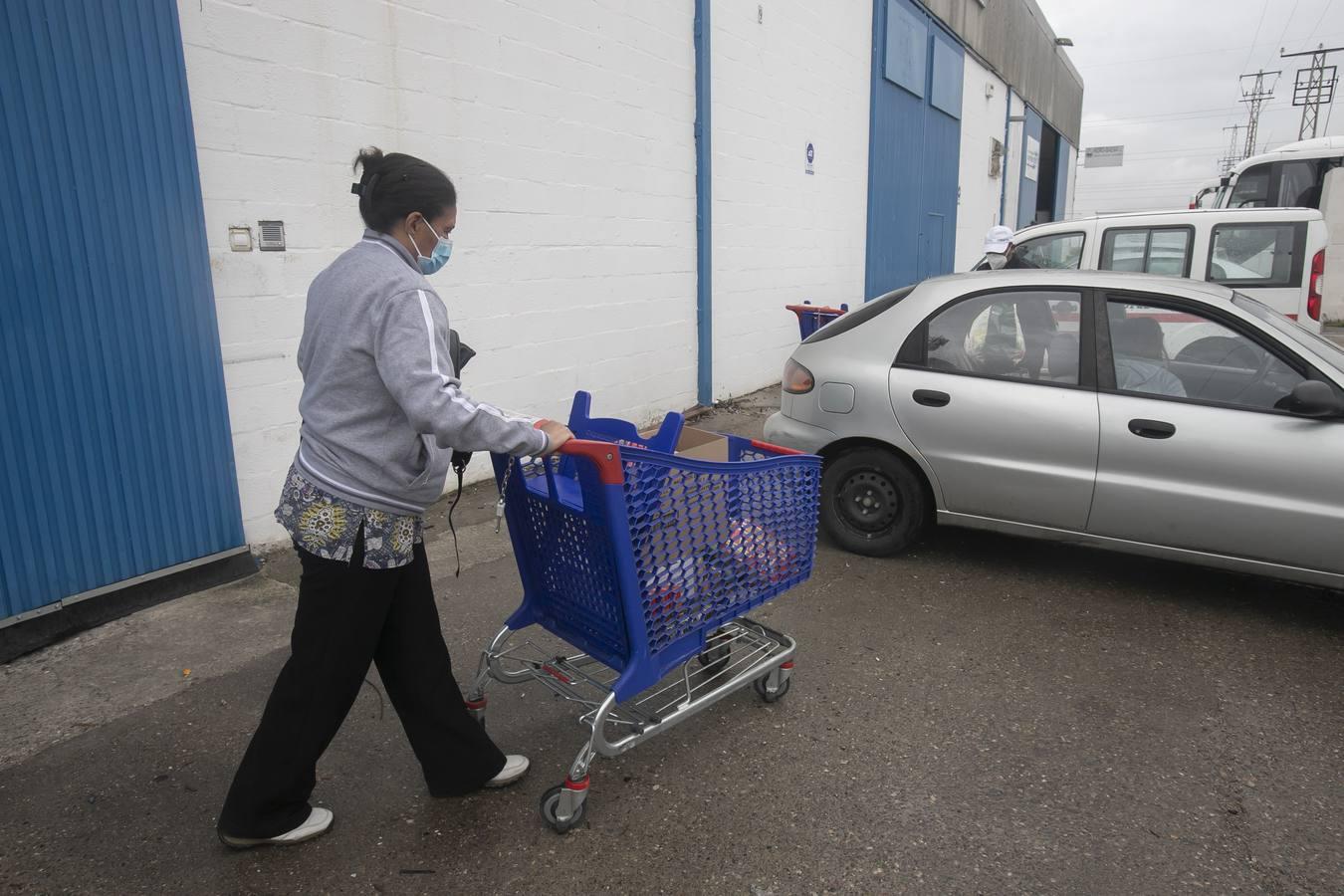 El reparto de alimentos de Cruz Roja de Córdoba, en imágenes