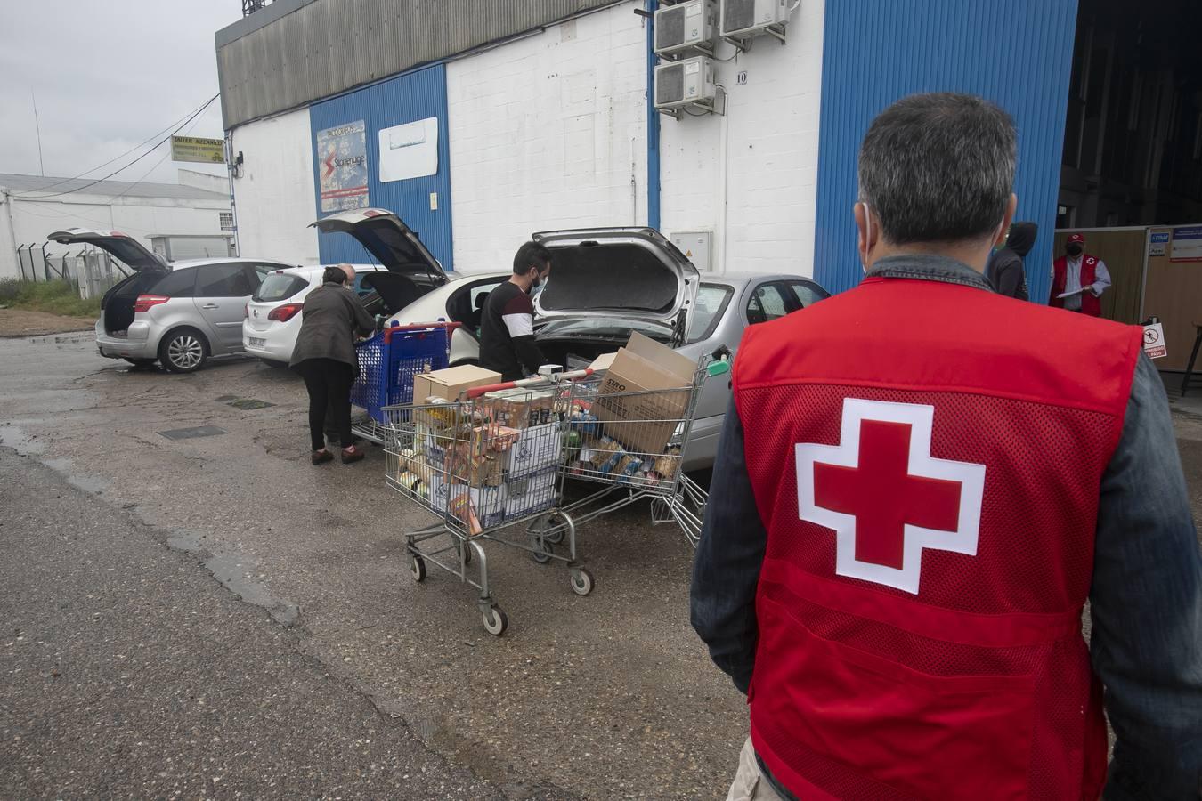 El reparto de alimentos de Cruz Roja de Córdoba, en imágenes