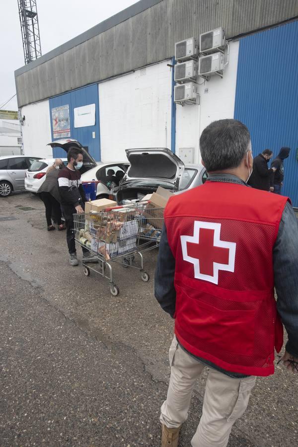 El reparto de alimentos de Cruz Roja de Córdoba, en imágenes