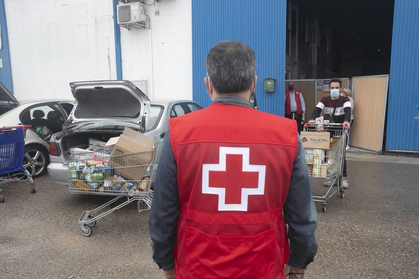 El reparto de alimentos de Cruz Roja de Córdoba, en imágenes