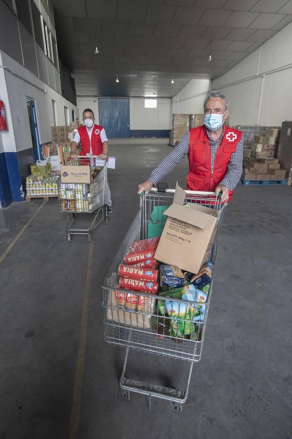 El reparto de alimentos de Cruz Roja de Córdoba, en imágenes