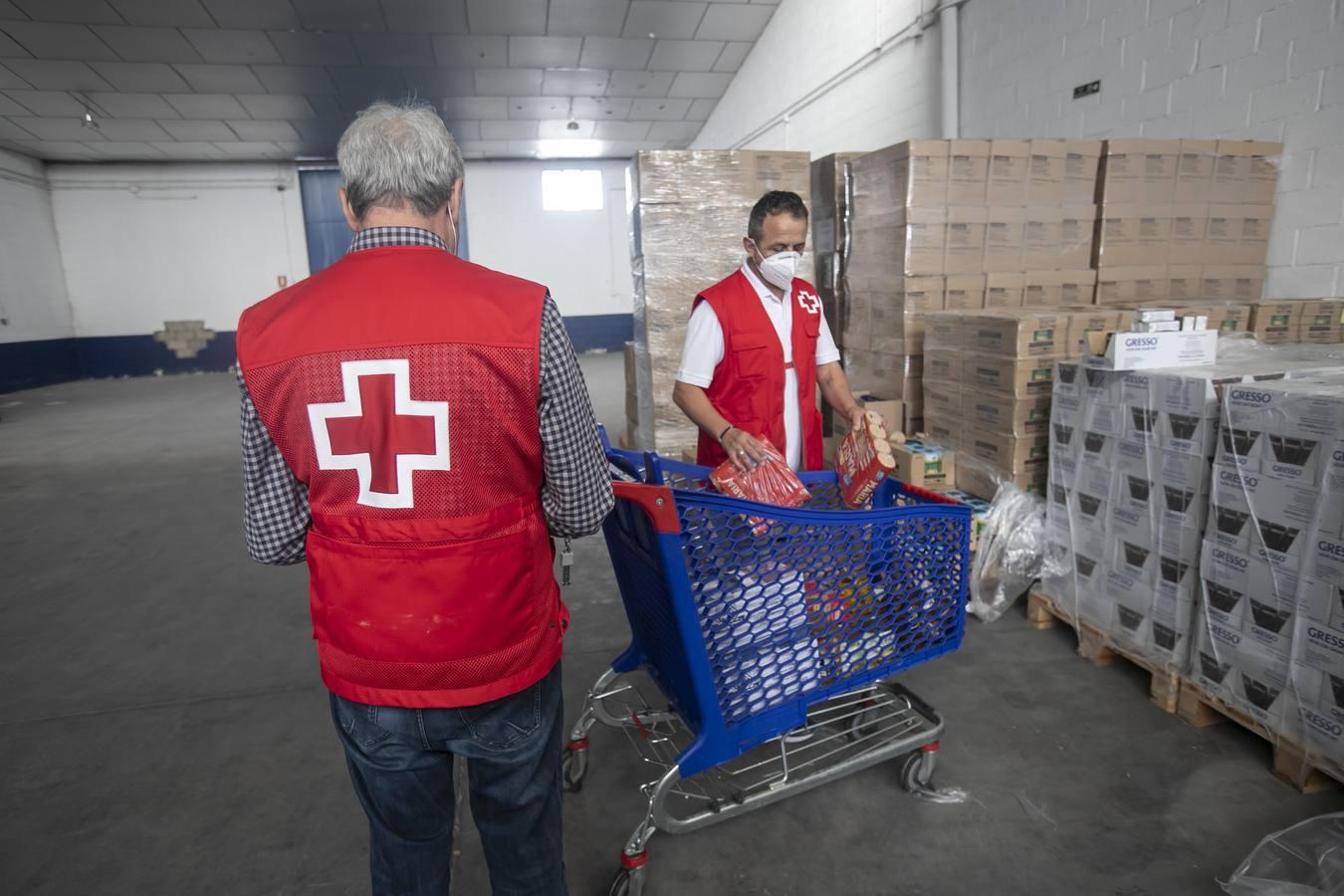 El reparto de alimentos de Cruz Roja de Córdoba, en imágenes