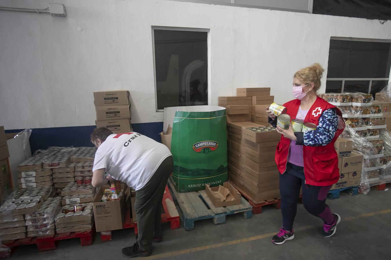 El reparto de alimentos de Cruz Roja de Córdoba, en imágenes