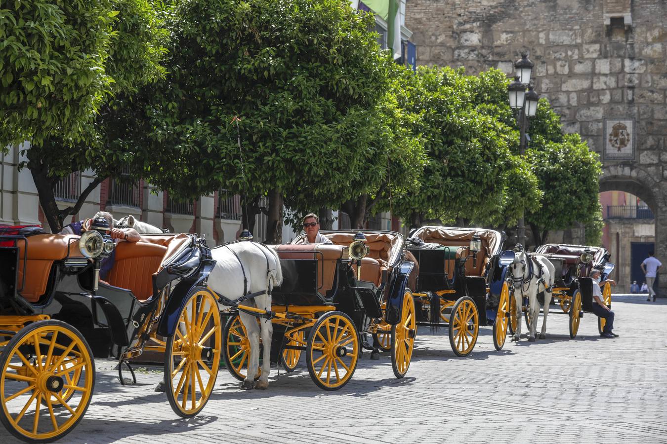 Los coches de caballos de Sevilla lanzan un SOS