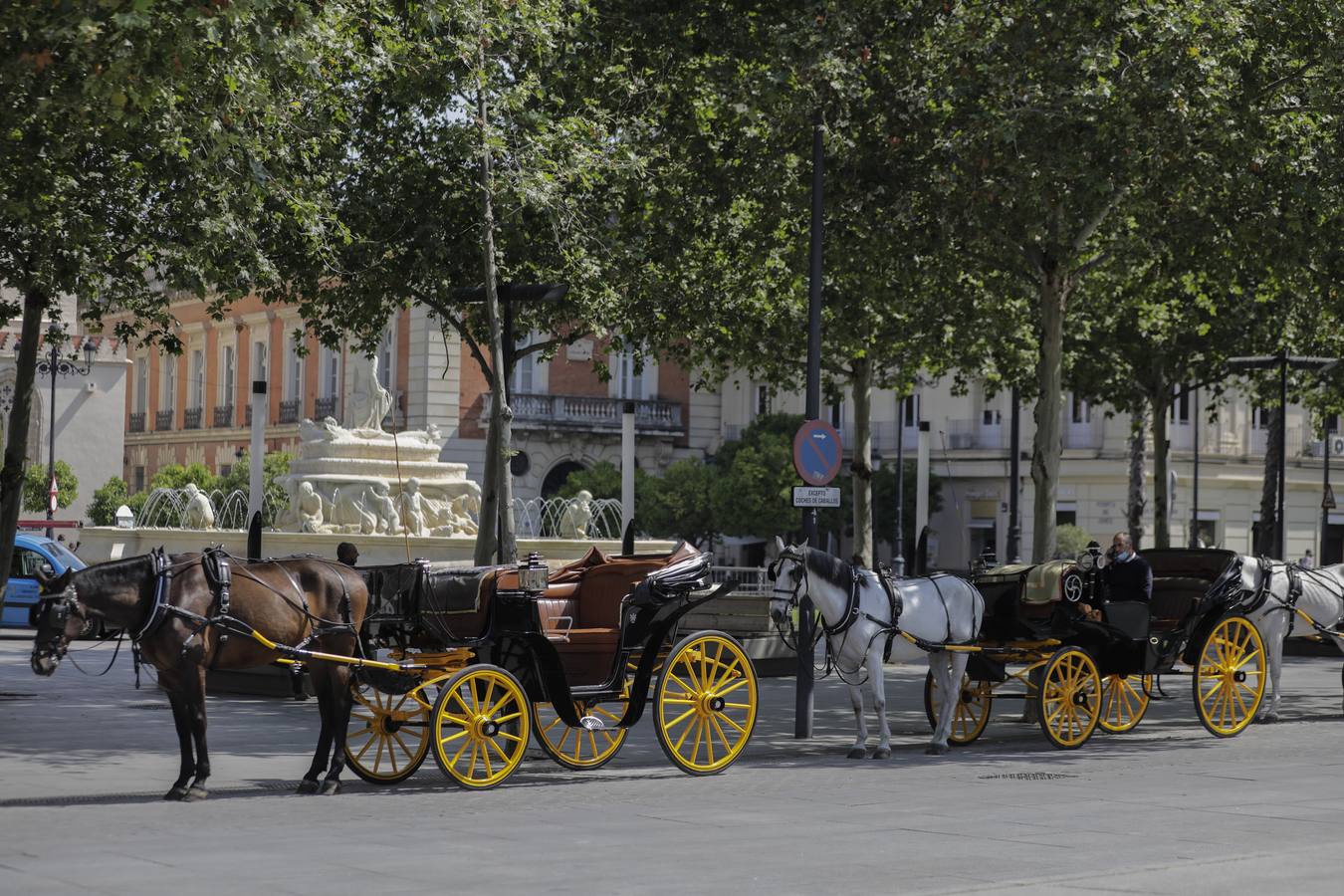 Los coches de caballos de Sevilla lanzan un SOS