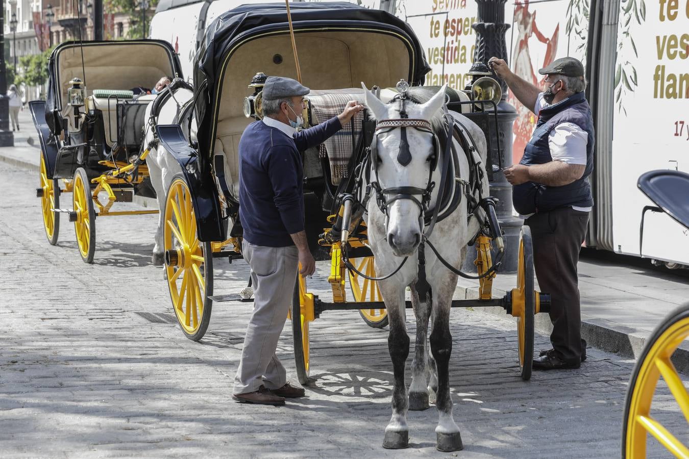 Los coches de caballos de Sevilla lanzan un SOS