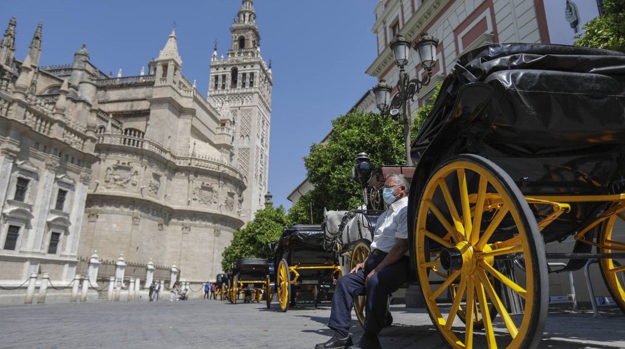 Los coches de caballos de Sevilla lanzan un SOS