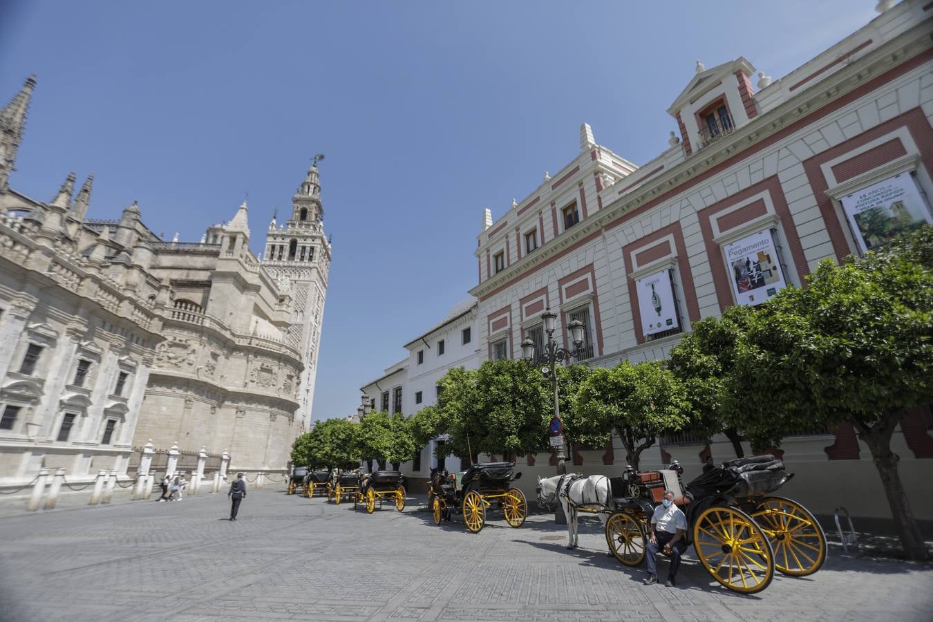 Los coches de caballos de Sevilla lanzan un SOS