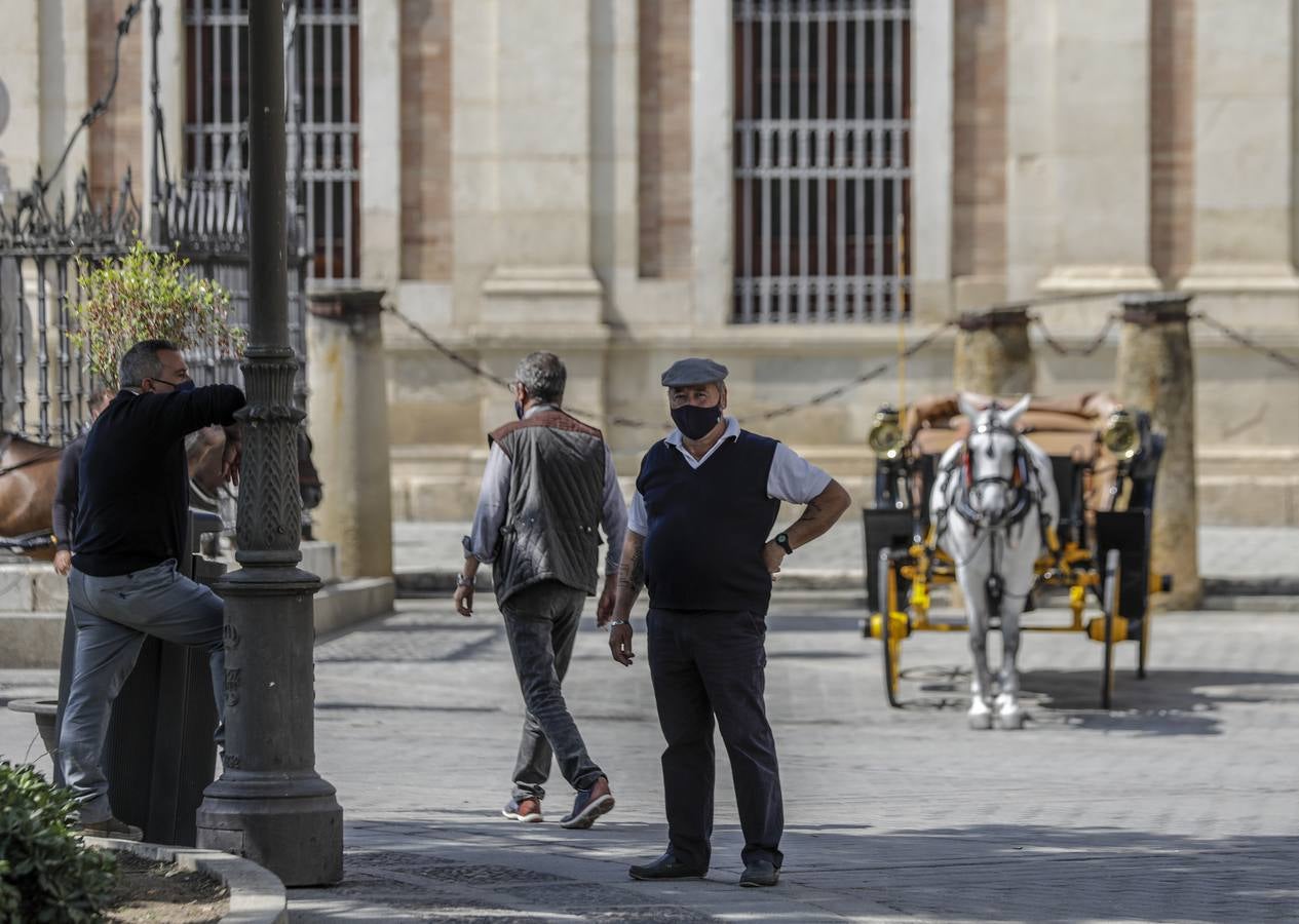 Los coches de caballos de Sevilla lanzan un SOS