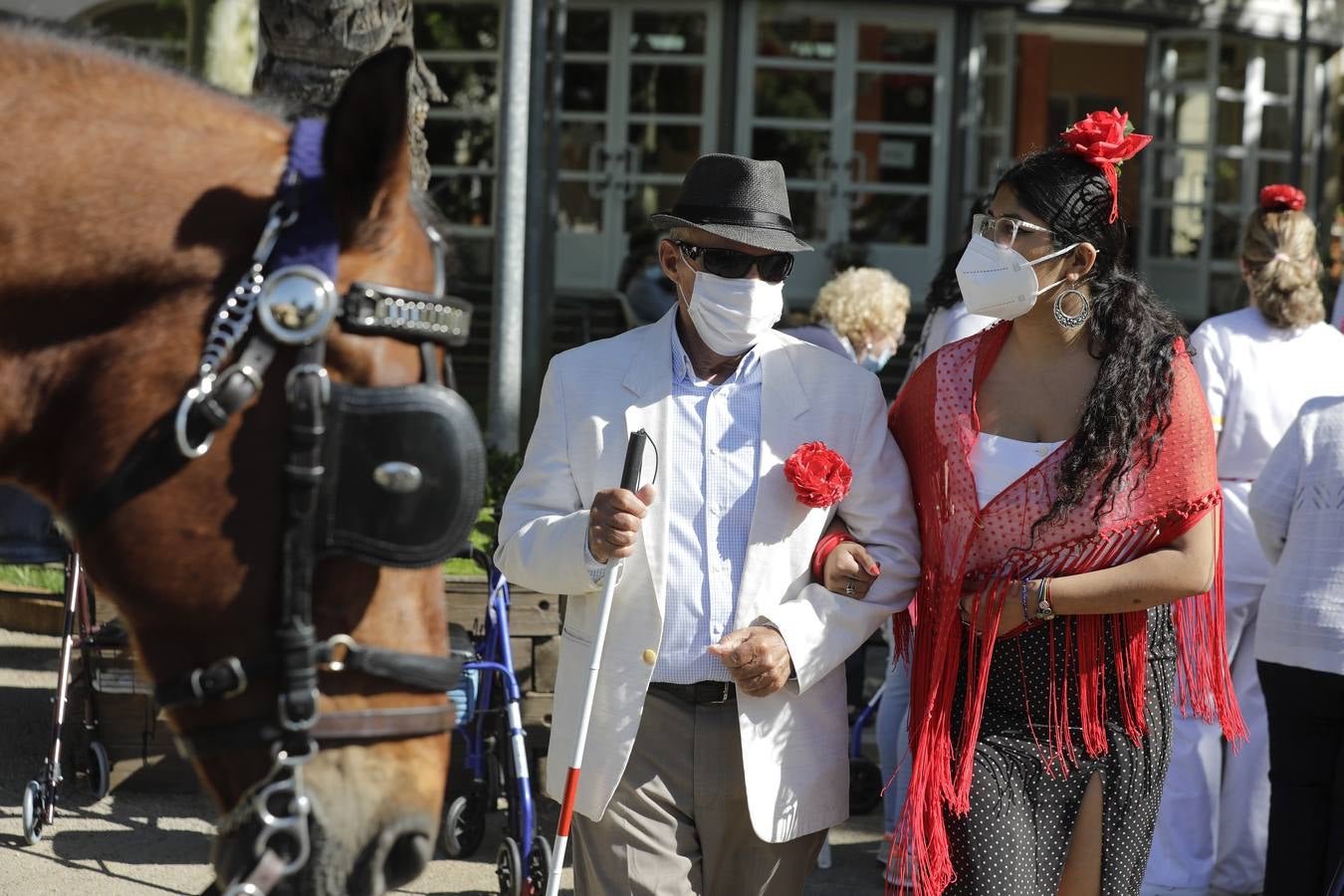 Paseo solidario en coche de caballos de ancianos de una residencia de Triana