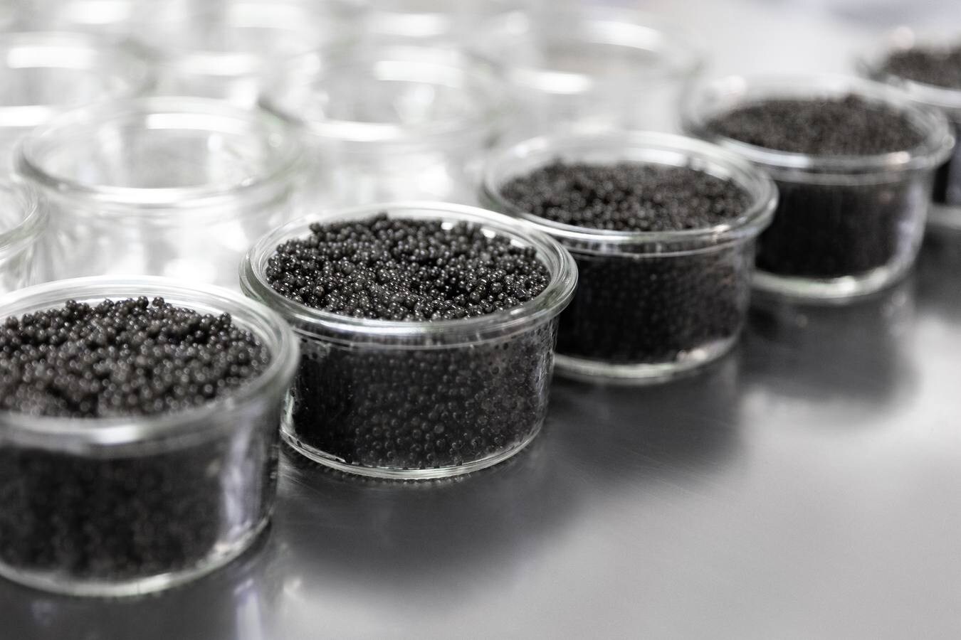 Distintas fases del proceso de elaboración del caviar de Río Frío