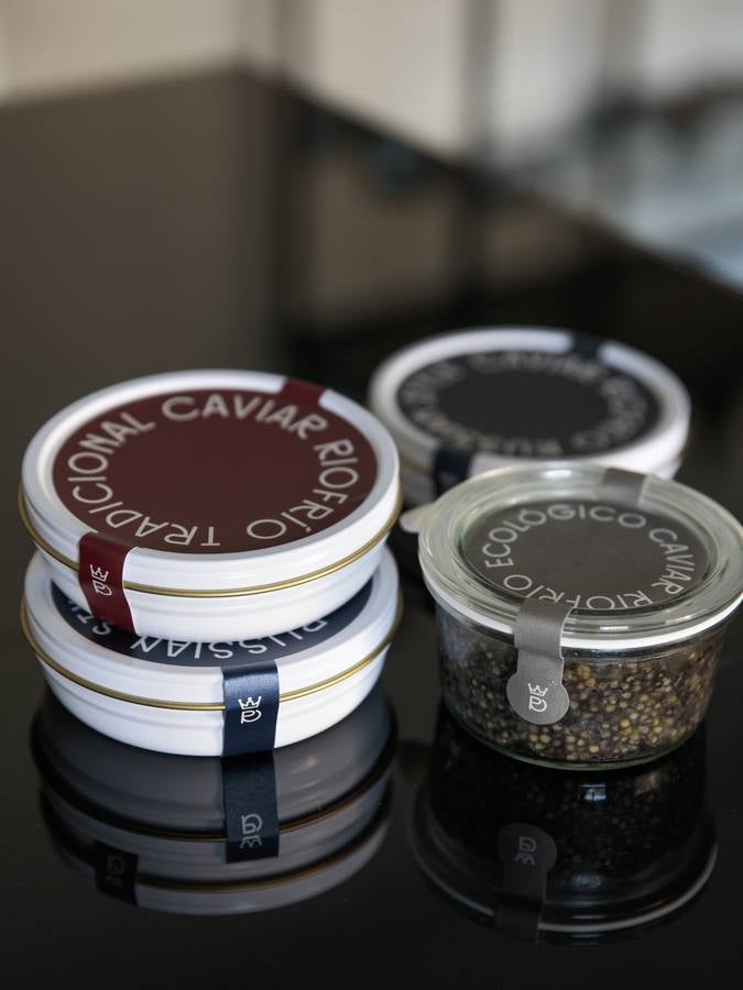 Distintas fases del proceso de elaboración del caviar de Río Frío