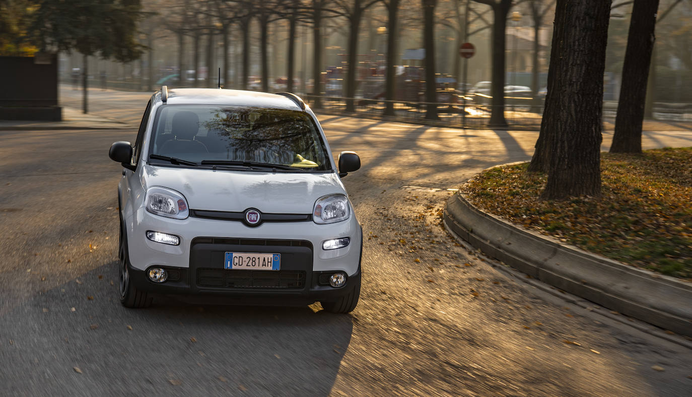 Fotogalería: Fiat panda, un cuarentón a la última