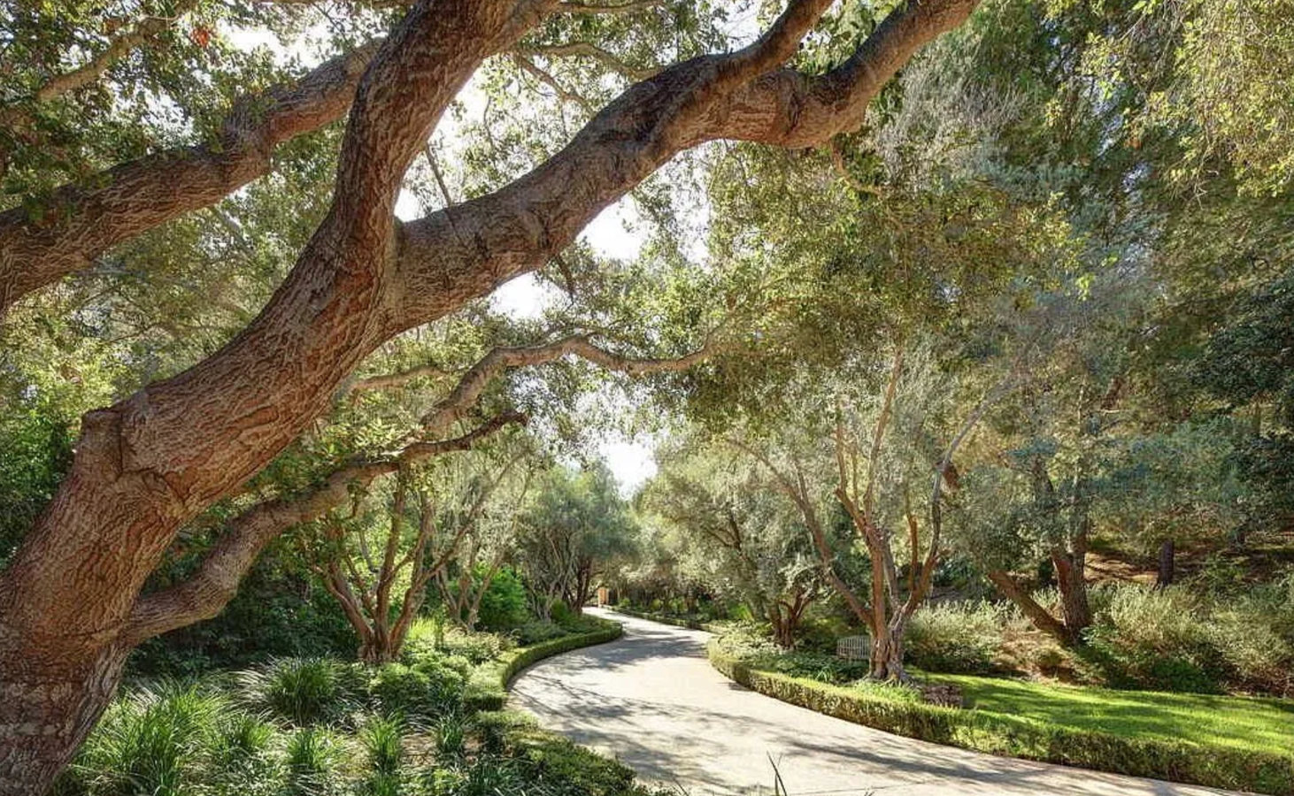 Así es la nueva mansión de Dwayne Johnson. Lo primero que llama la atención es su zona exterior. Comenzando por el camino que conduce a la casa, bordeado de olivos, y que va a parar a una pista de grava con una fuente de piedra en el centro.