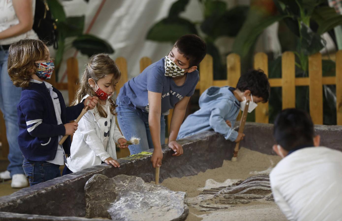 La carpa de Dinosaurs Tour en la Arruzafilla de Córdoba, en imágenes