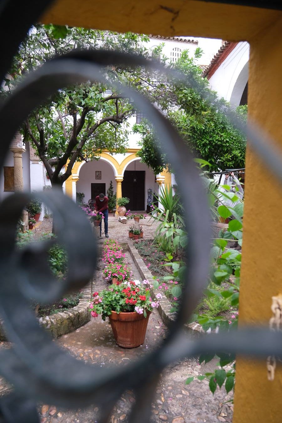 Patios Córdoba 2021 | El patio de clausura de Santa Marta, en imágenes