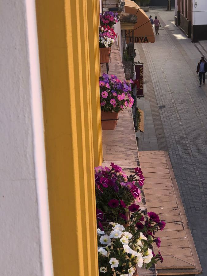 Balcones y rincones llenos de flores en el barrio de Santa Cruz