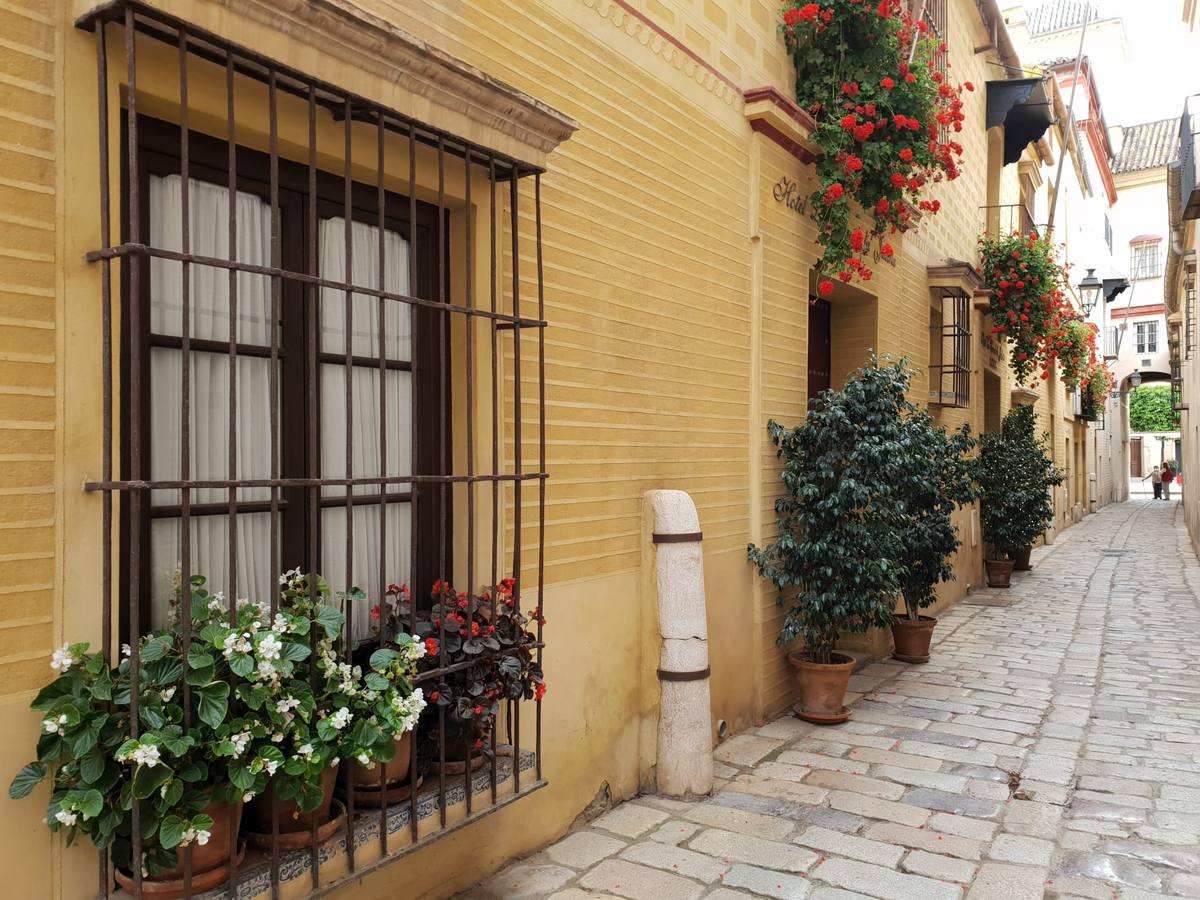 Balcones y rincones llenos de flores en el barrio de Santa Cruz