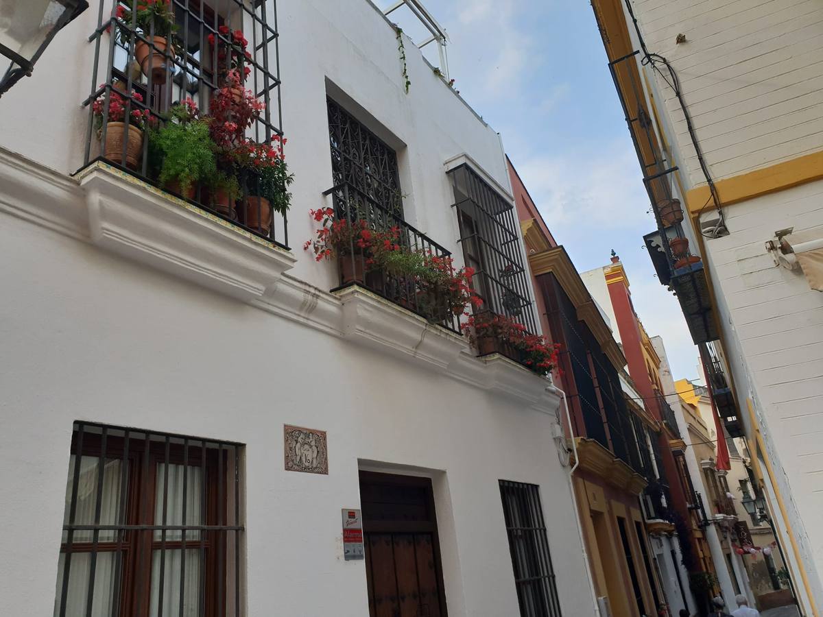 Balcones y rincones llenos de flores en el barrio de Santa Cruz