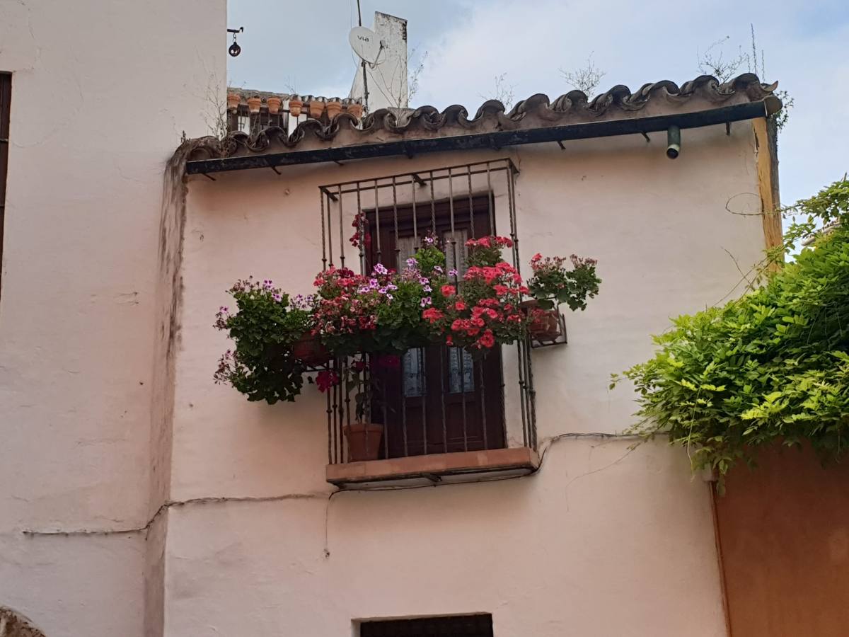 Balcones y rincones llenos de flores en el barrio de Santa Cruz